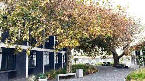 76 White Road, Retreat